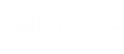 Valmet logo