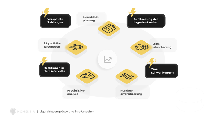 Causes and solutions of cash and liquidity shortages  (DE)