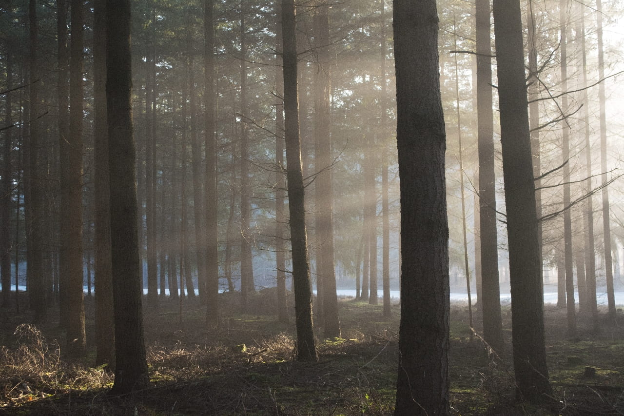 9 Treasury Management Trends for 2023