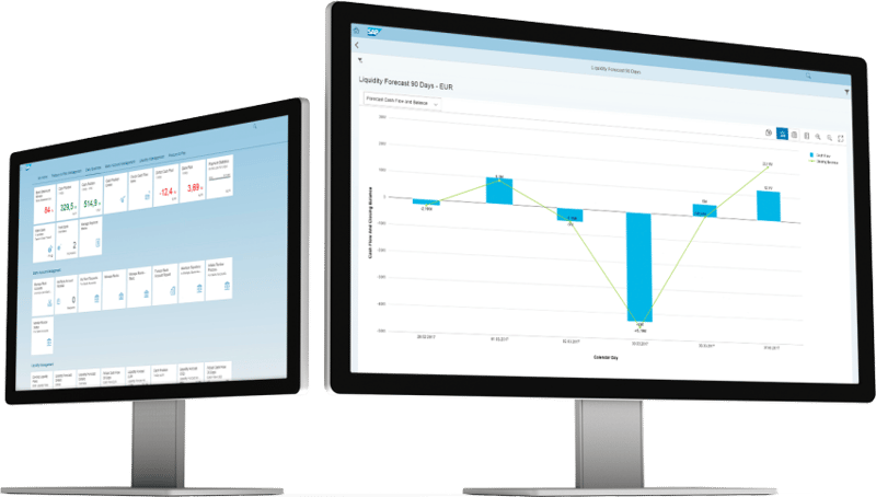 SAP Cash Management