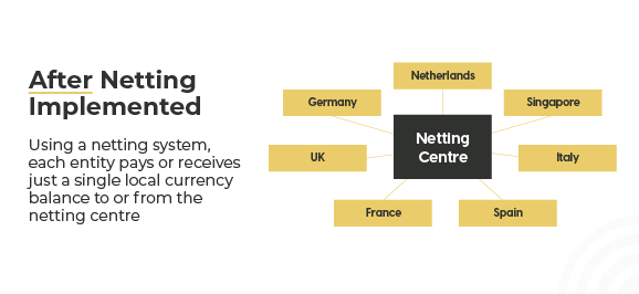 Netting setup with a solution in place