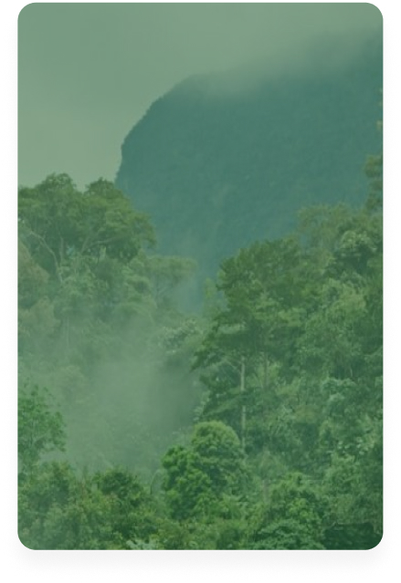 Climate Partner hover background image