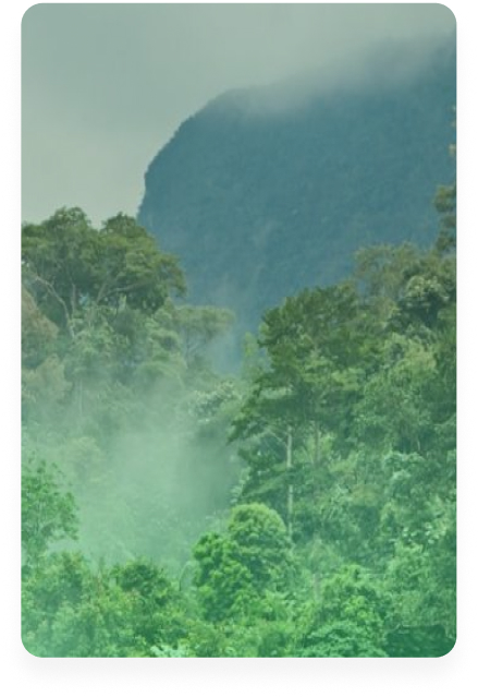Climate Partner background image