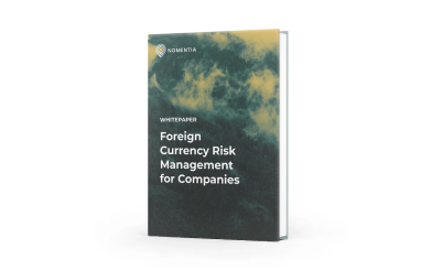 FX risk management for companies: A practical guide