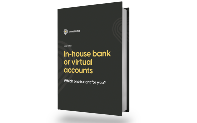 In-House bank or virtual accounts?